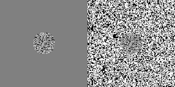 Grey and white static-like picture.