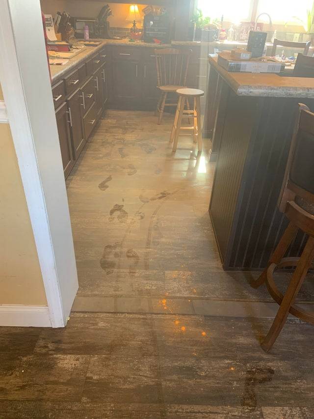 Kitchen with dust all over the floor