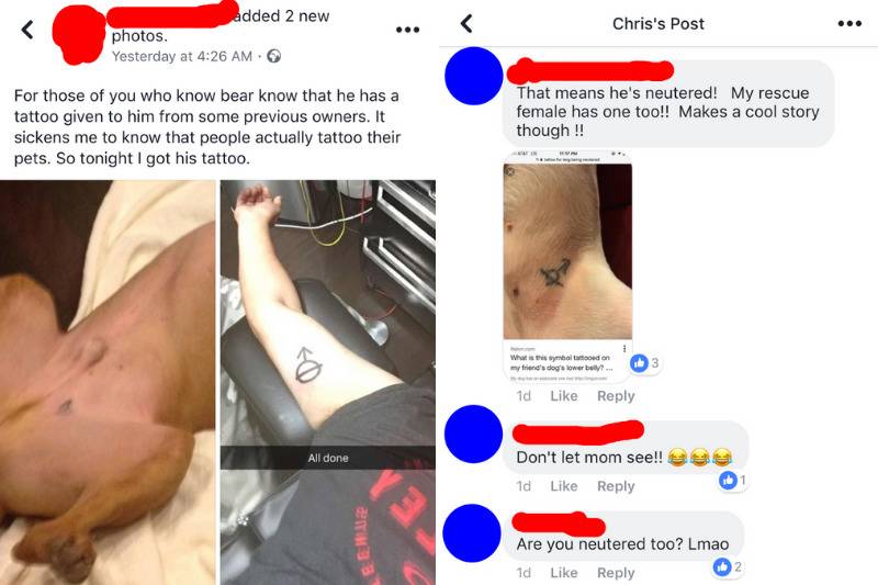 Facebook post man gets same tattoo as dog 