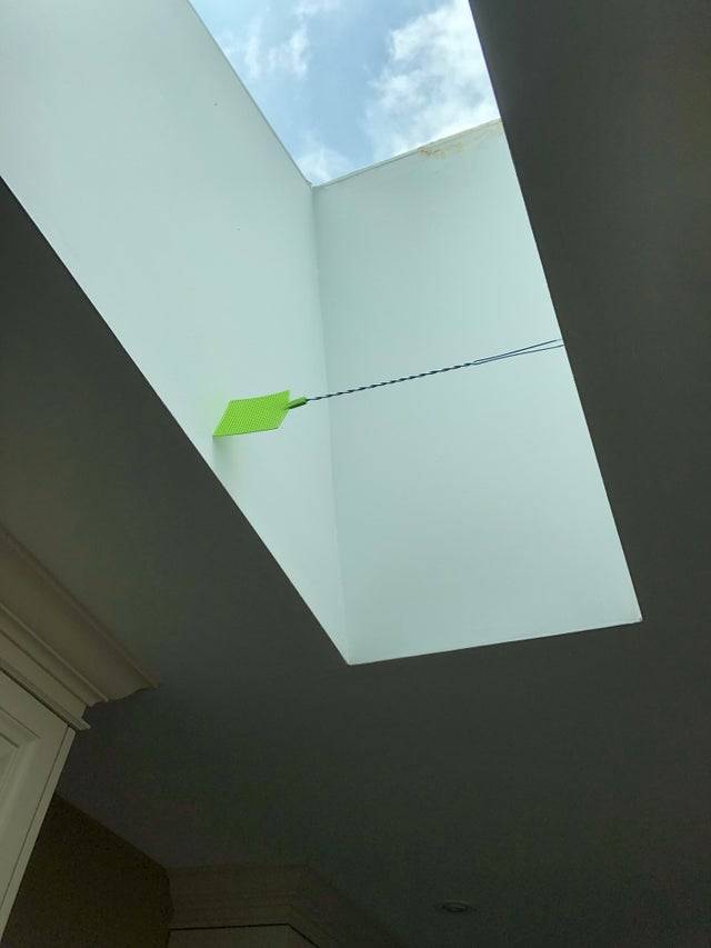 Fly swatter stuck in sky light after being thrown