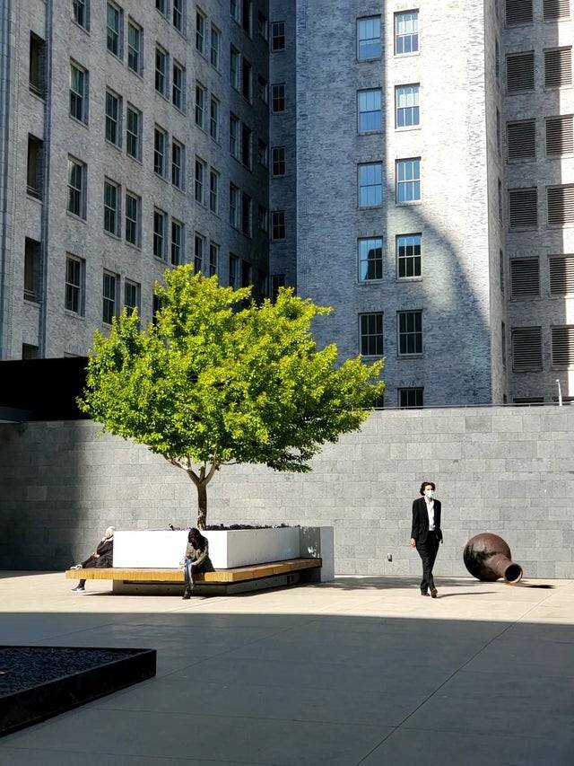 People standing on the sidewalk and sitting on a bench with a tree and buildings behind them