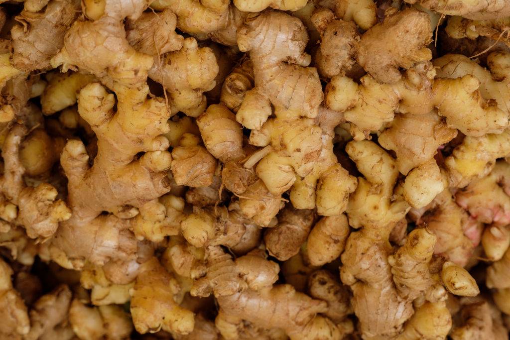 GettyImages-1270260407