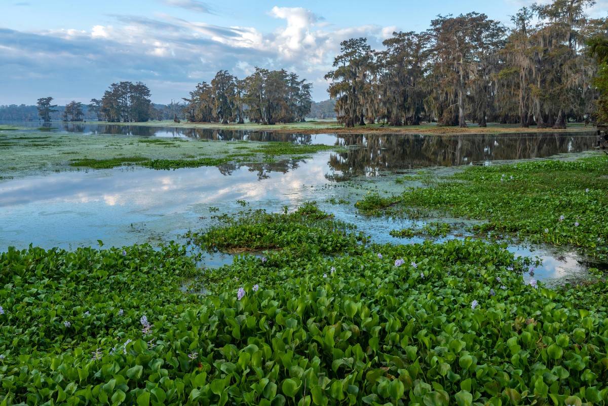 GettyImages-1288705049