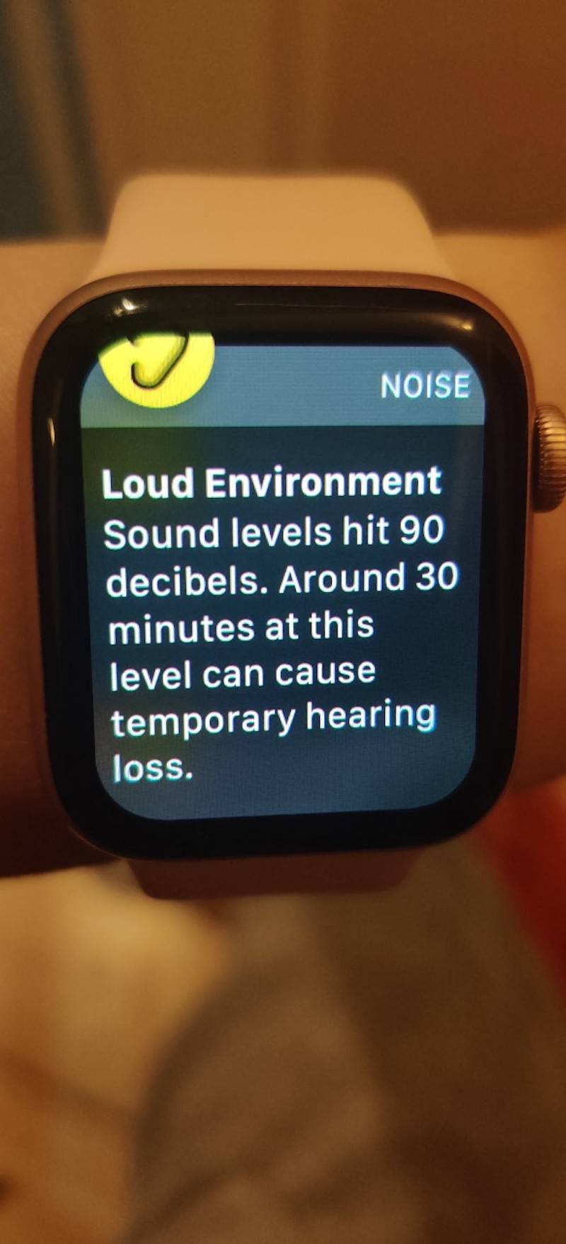 Loud noise level Apple Watch notification