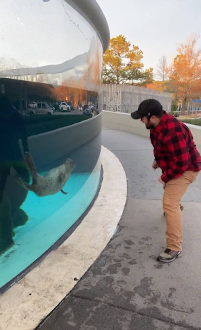 Man plays with a sea lion at an aquarium. 