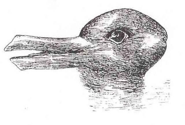 Drawing that looks like a rabbit or a duck