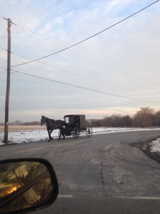 Horse and buggy on the road and setting sun in behind. 