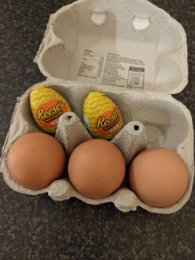 Reese's chocolate eggs are hidden away in an egg carton. 