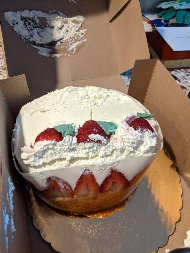 Cake smushed in a box
