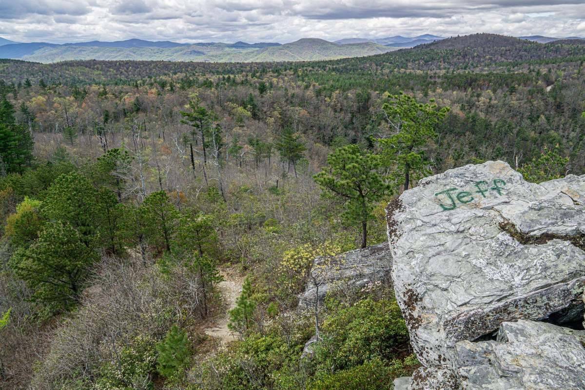 Name spray painted on rock in large scenic forest field