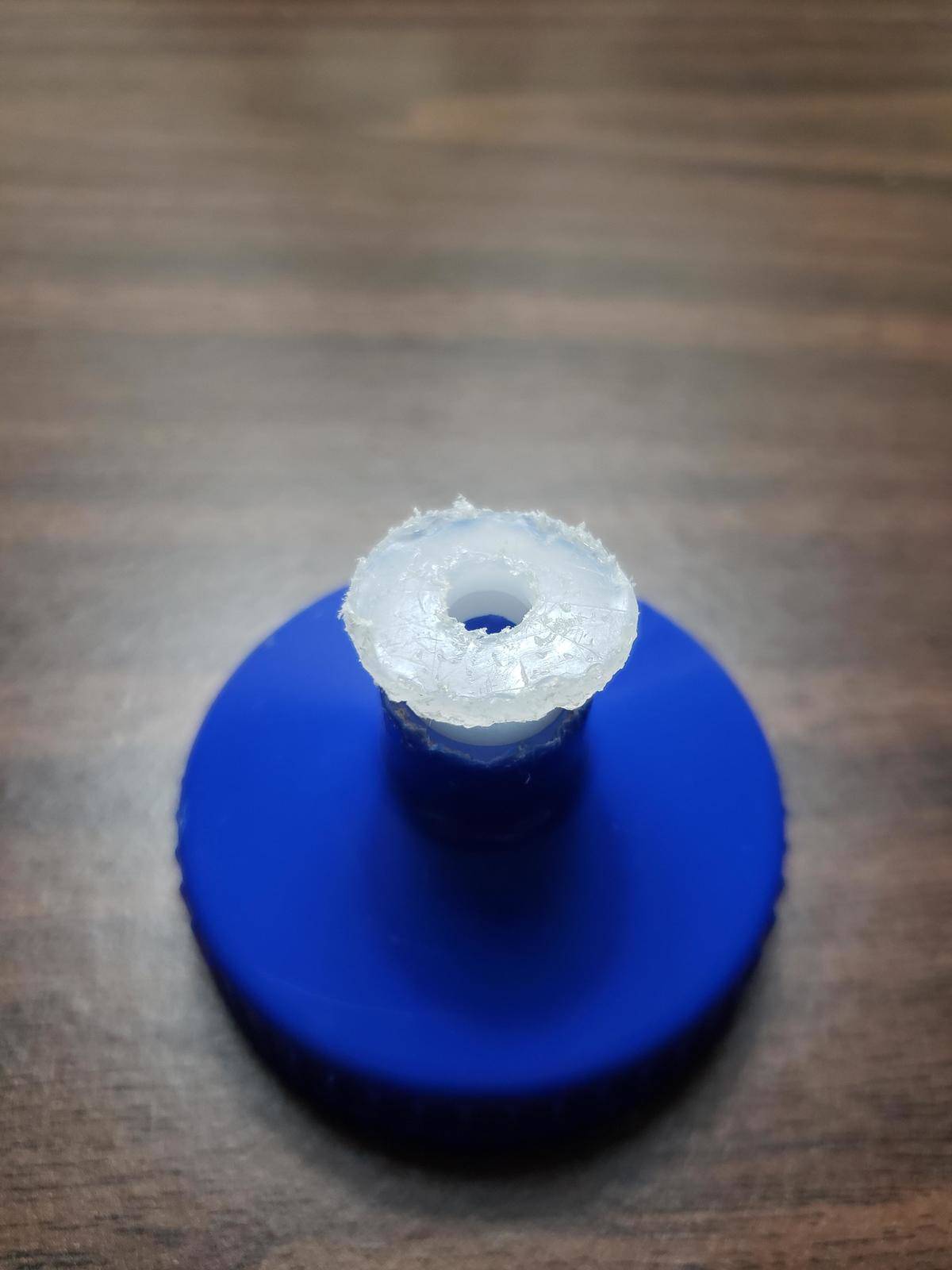 Water bottle lid that has been chewed