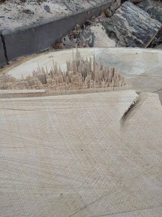 Broken piece of wood that looks like a cityscape