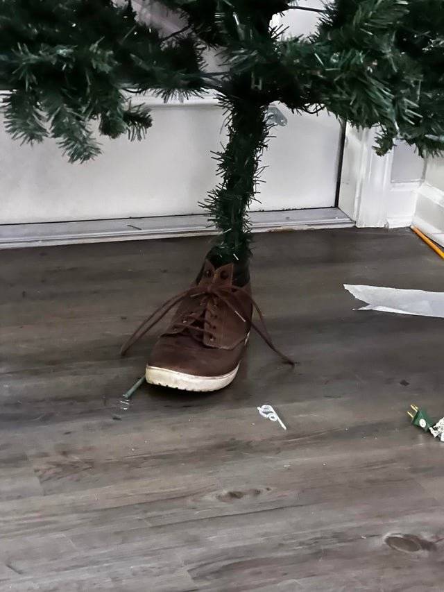 fixed the tree with a shoe