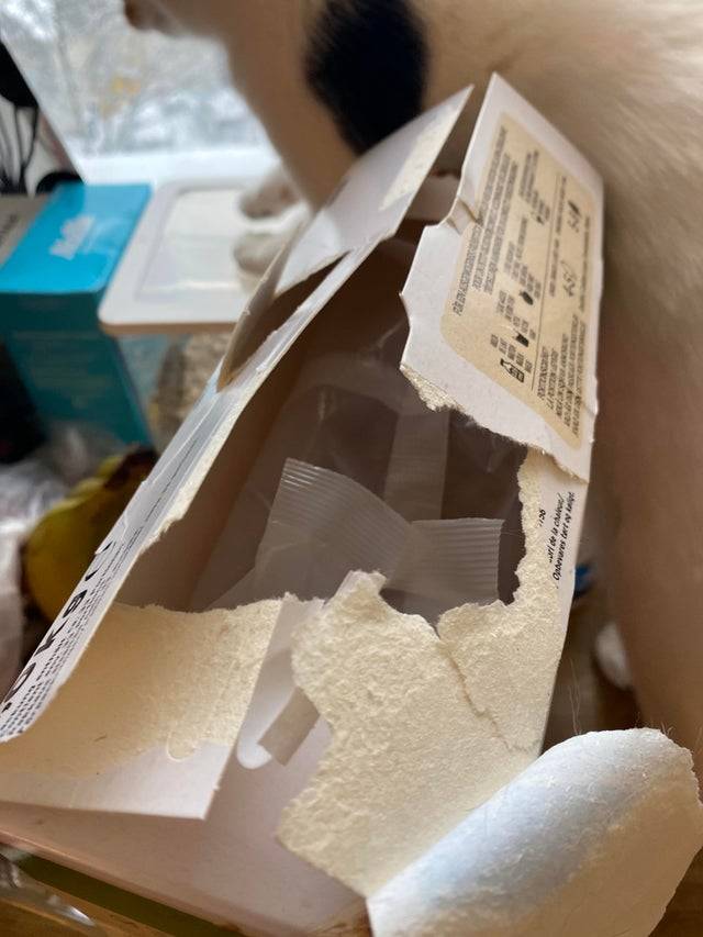 opening cereal and it gets destroyed