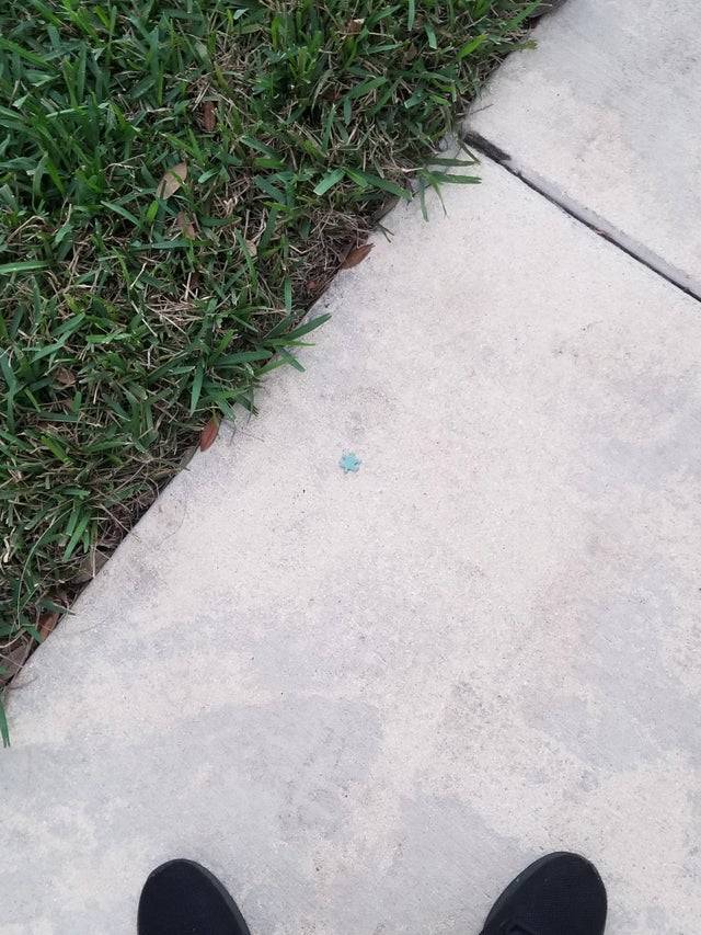 puzzle piece on the floor