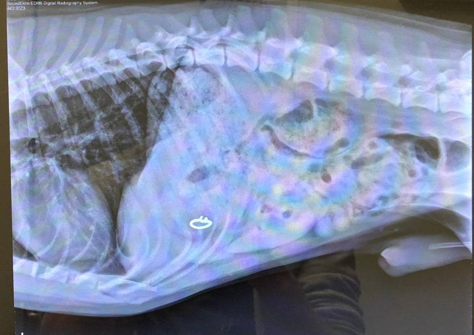 ring went missing inside wife