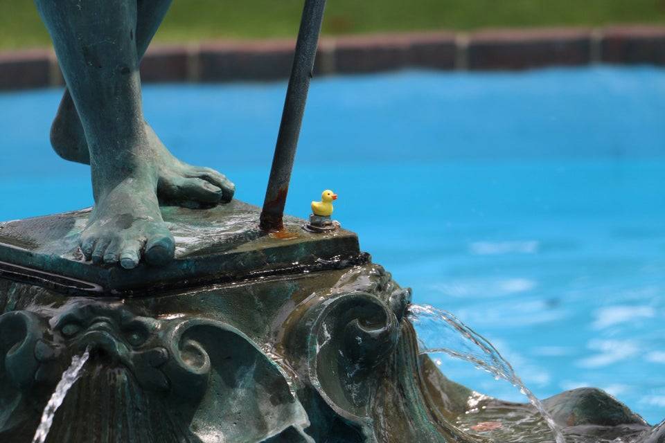 rubber ducker on fountain