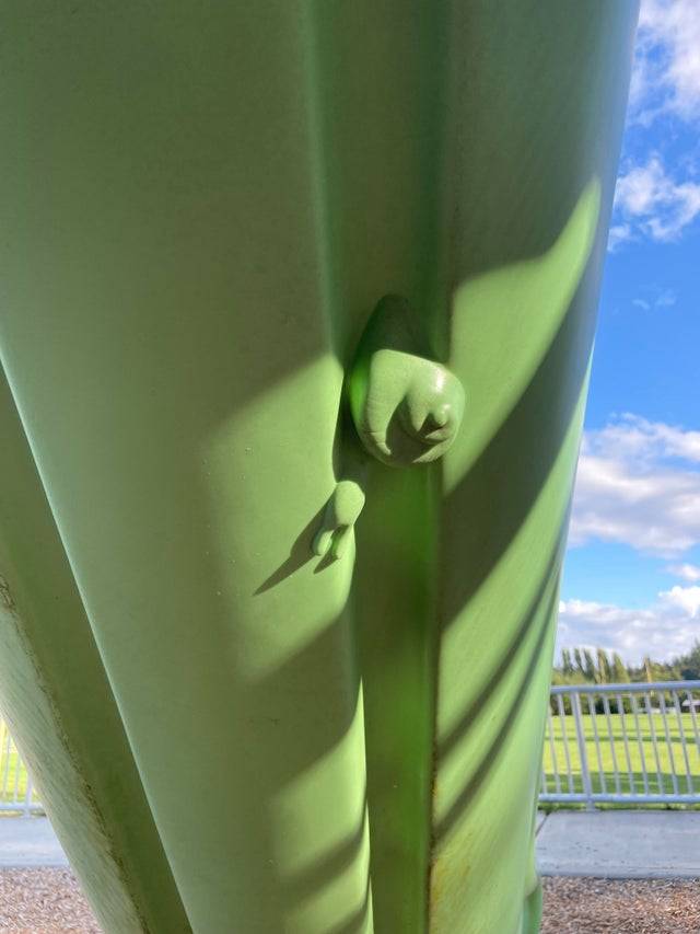 snail under a slide at park in Washington
