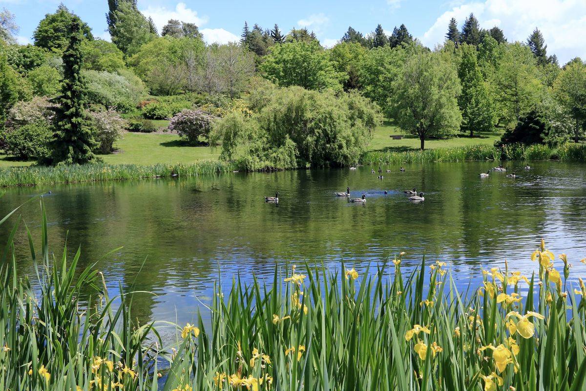 University of Idaho Arboretum and Botanical Garden
