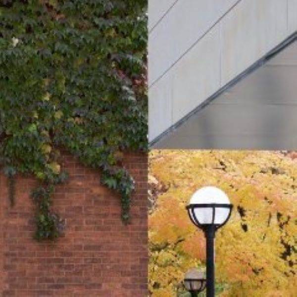 6gx5IzxjOME3elzfxWb2