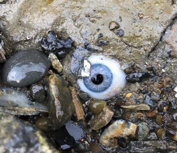 Glass eye washed up on a beach