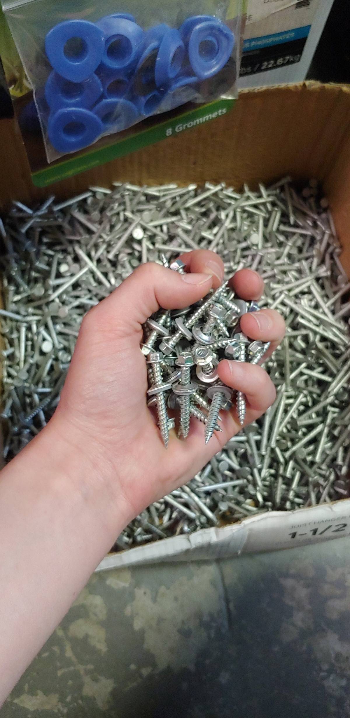 An employee holds a handful of nails and screws that a customer accidentally mixed together.