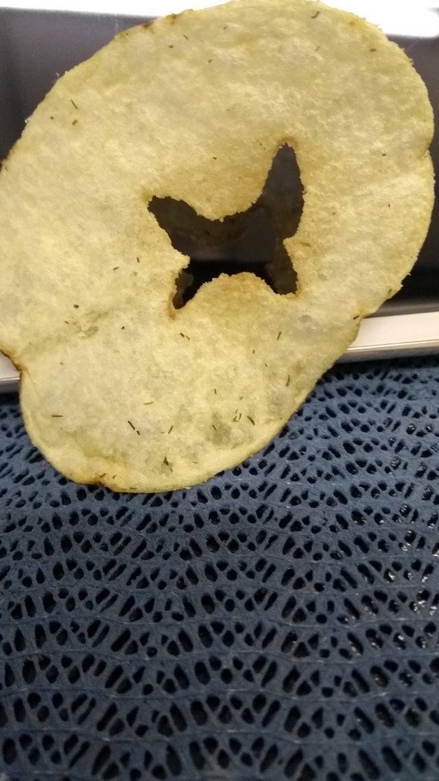 Chip with a butterfly symbol in the middle. 