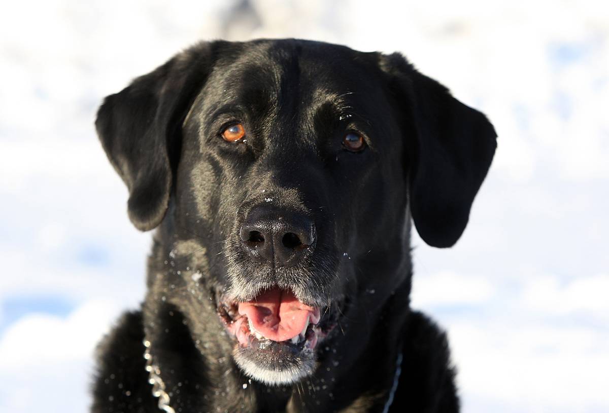 GettyImages-1290406425