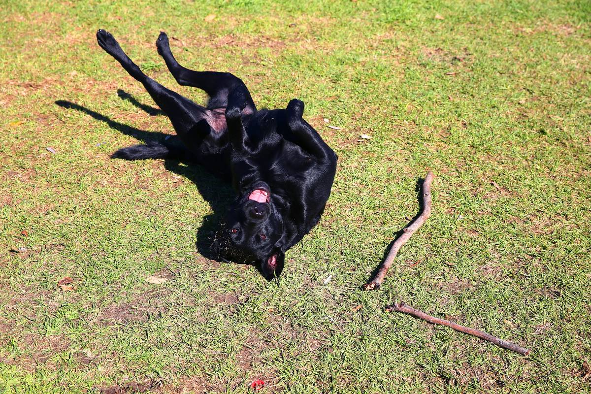 GettyImages-528866270