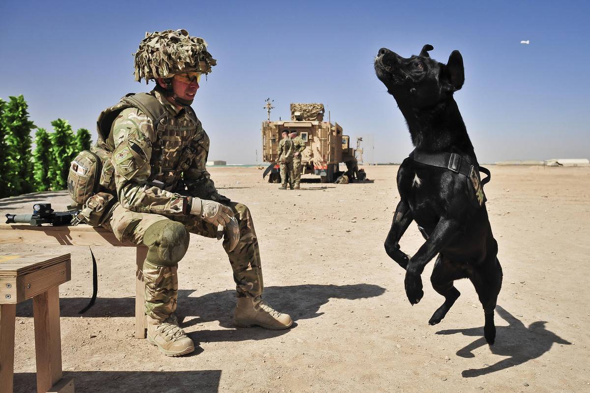 GettyImages-850026486