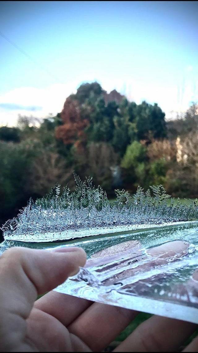 ice crystals that look like landscaped scenery