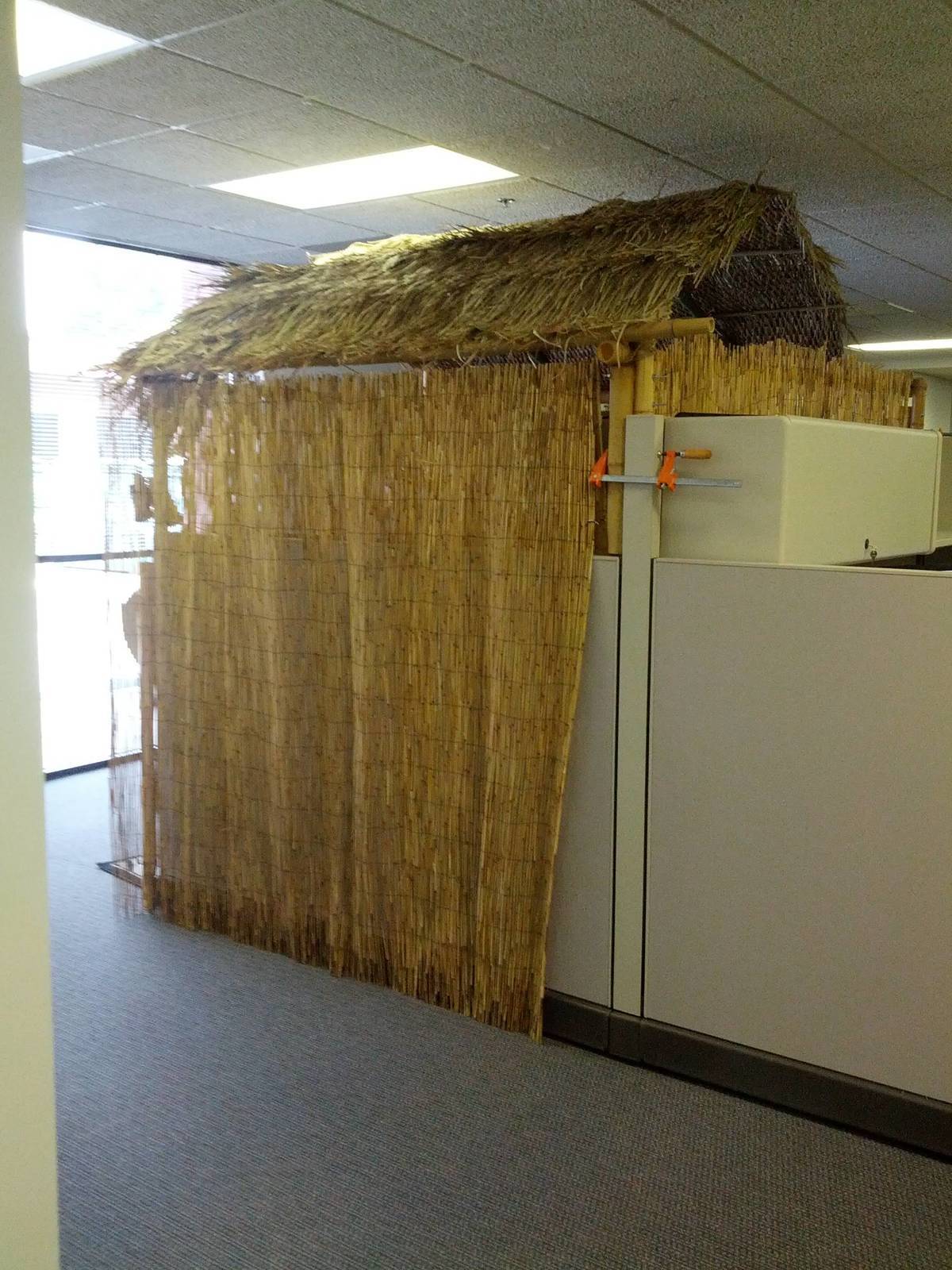 Tiki hut cubicle