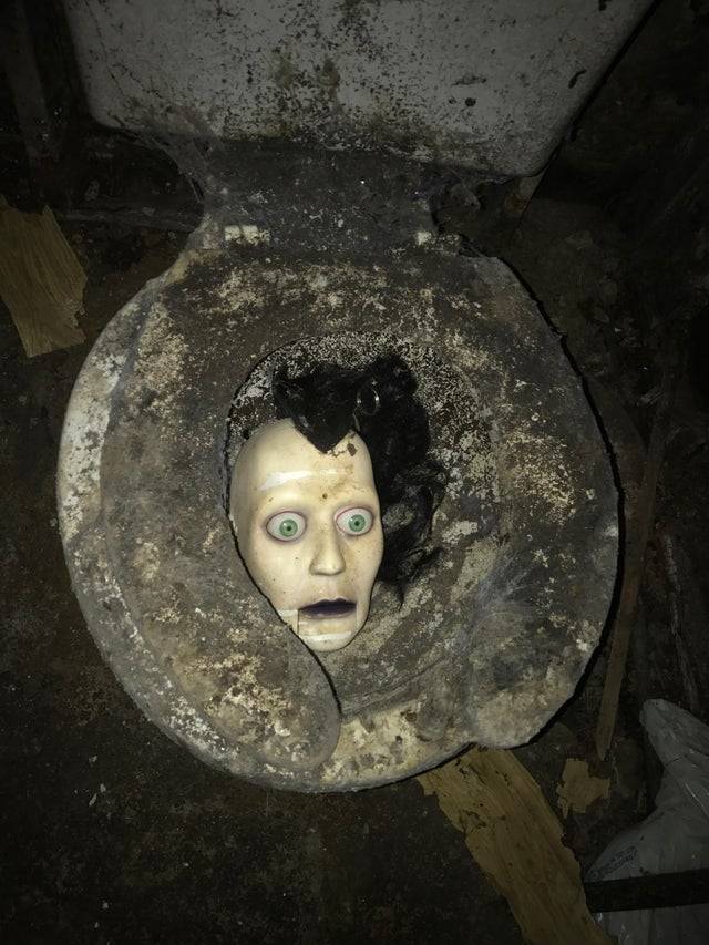 Mannequin head in an old toilet.