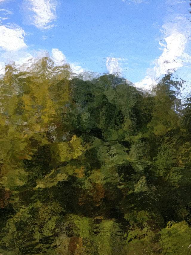 Picture of trees through a window