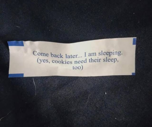 cookie sleeping so sorry