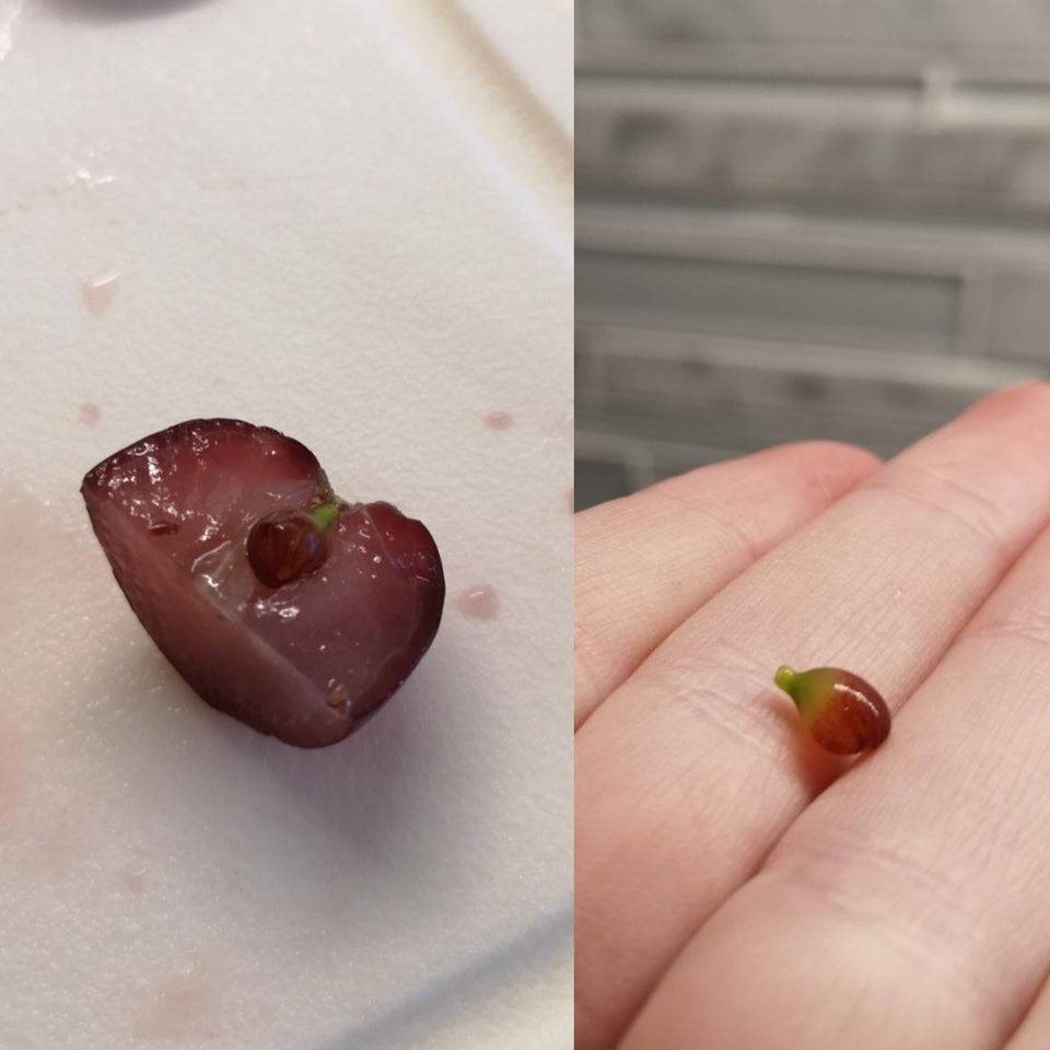 double the grape action after cutting