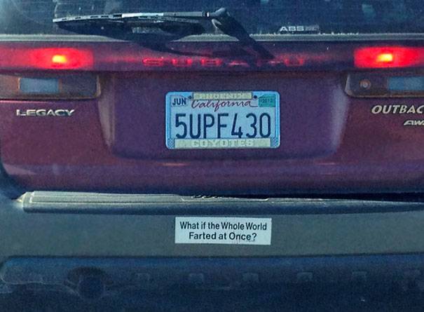 important questions to ask