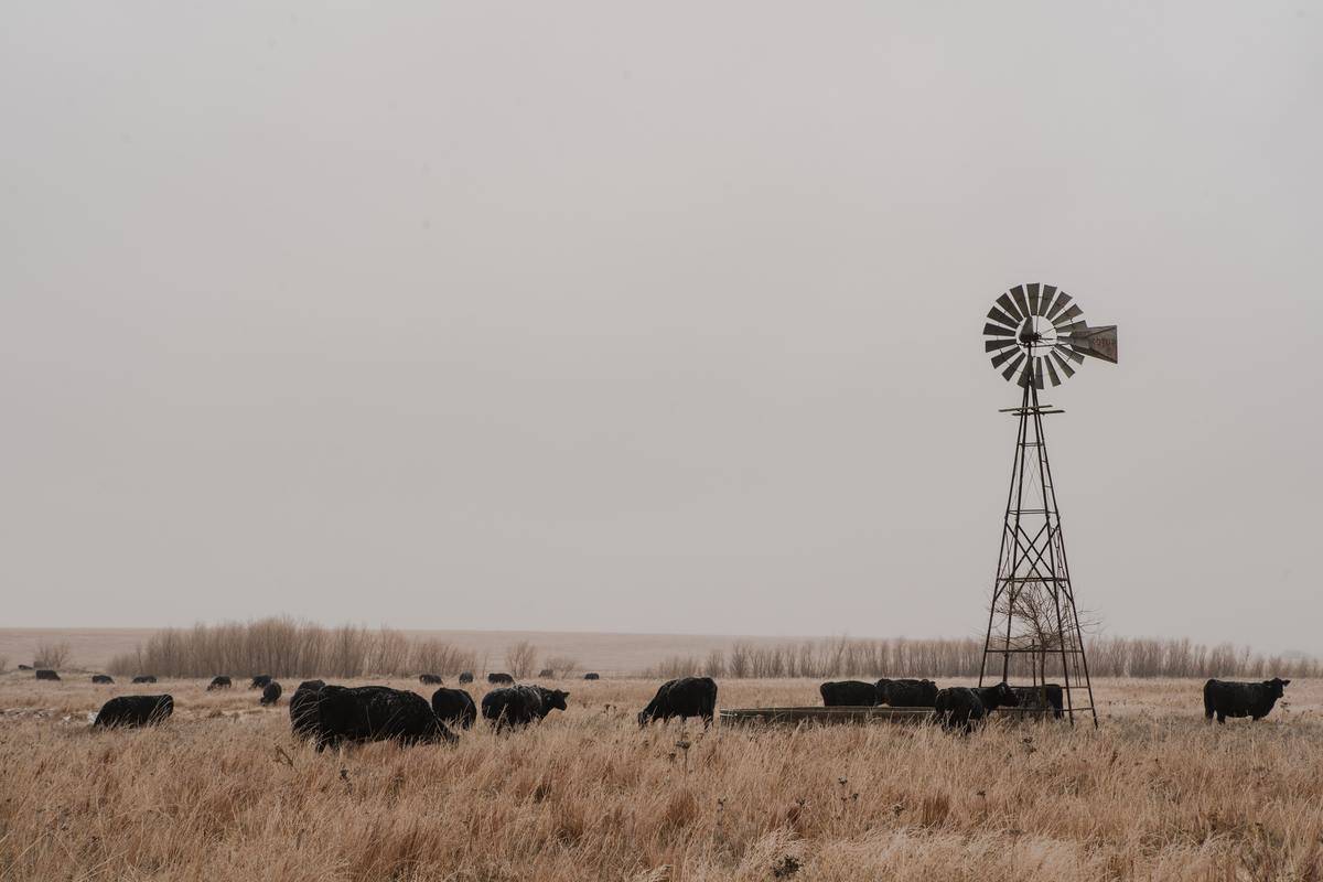 josh-redd-5Dkb-7_dVxA-unsplash