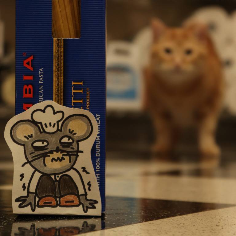 mouse hiding from cat