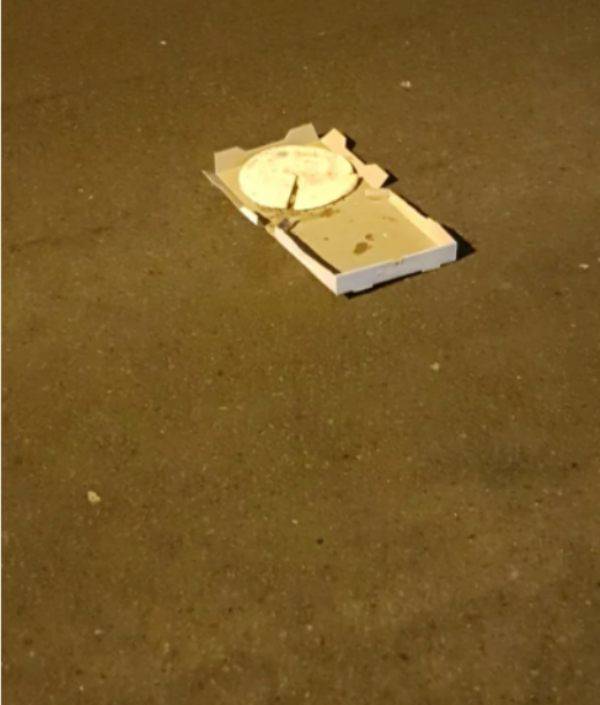 pizza on the roof fell hard