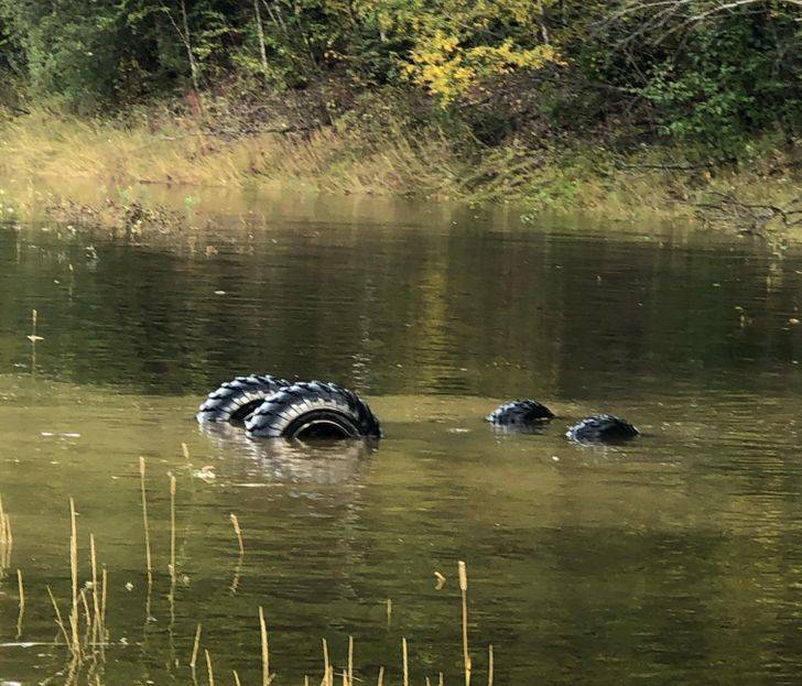 sunk the four wheeler after sinking phone