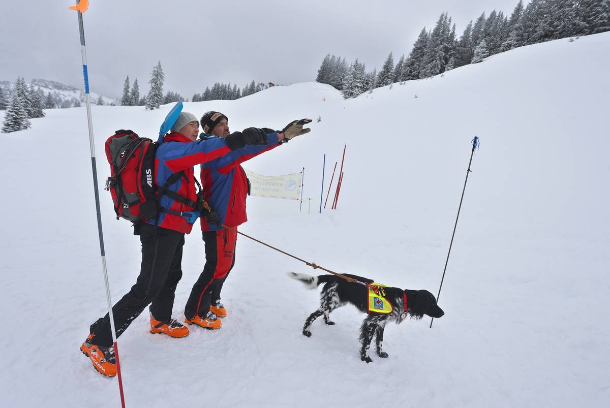 Avalanche dogs practice in Allgäu