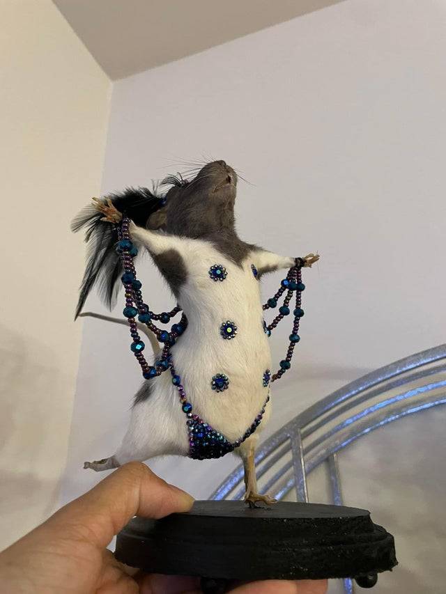 Rat figurine in burlesque clothing and nipple stickers posing 