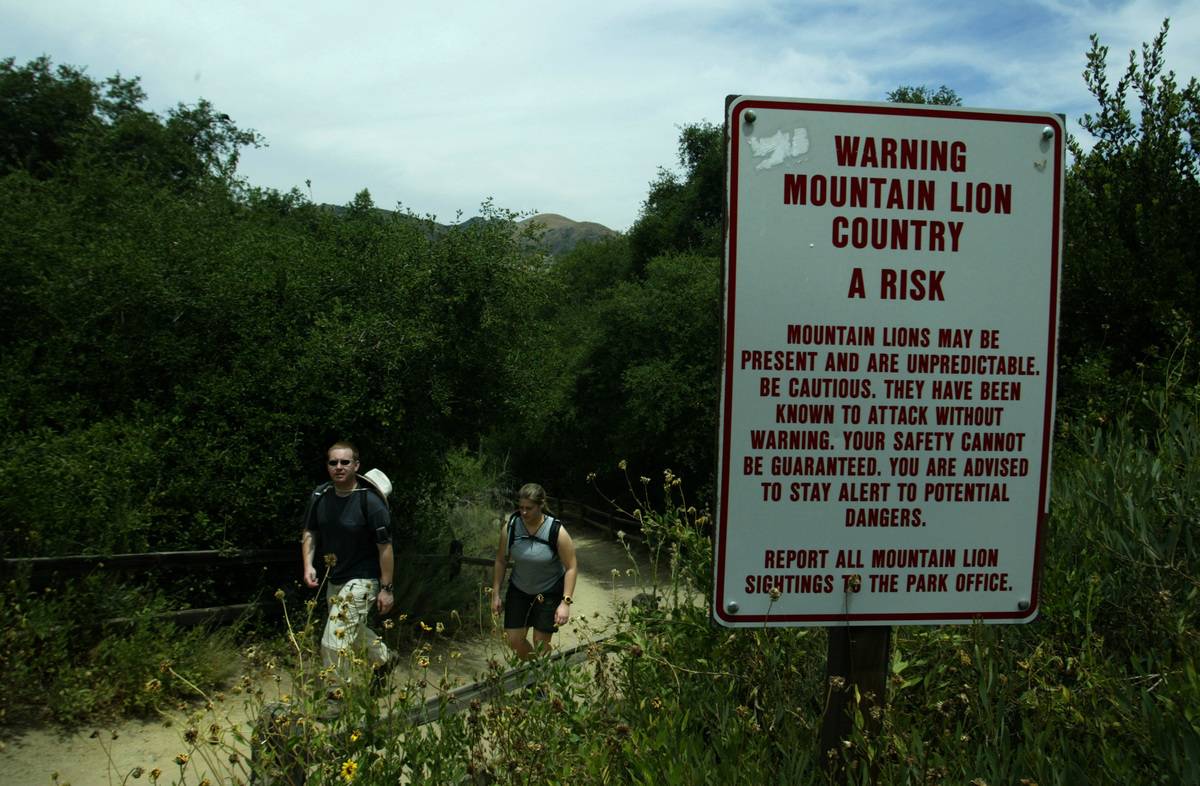Posted sign warns about mountain lions and maintains an awareness to a possible attack
