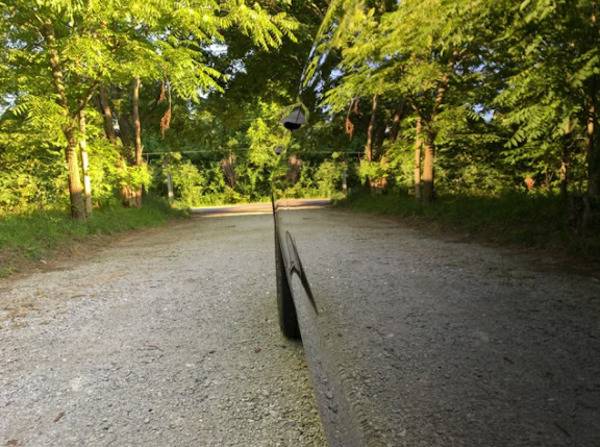 Car's reflection in the woods makes it look invisible