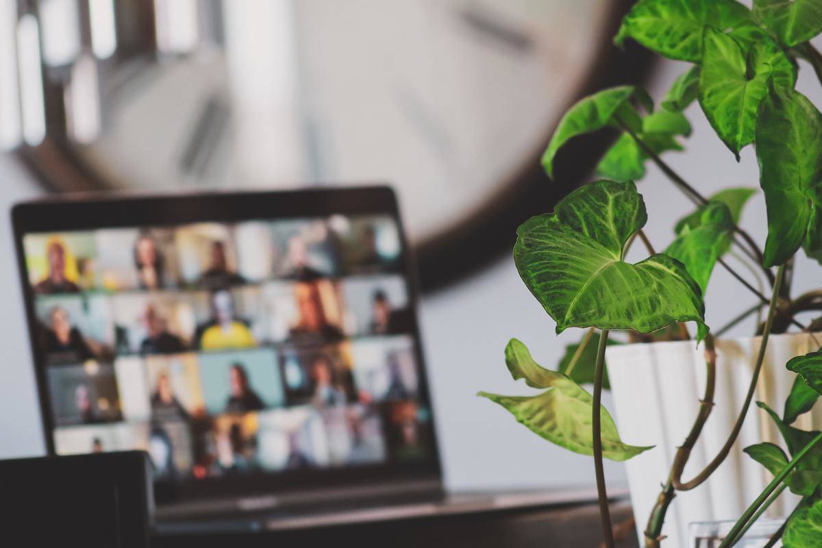 Plant growing in a pot and a blurred-out video call on a laptop in the background.
