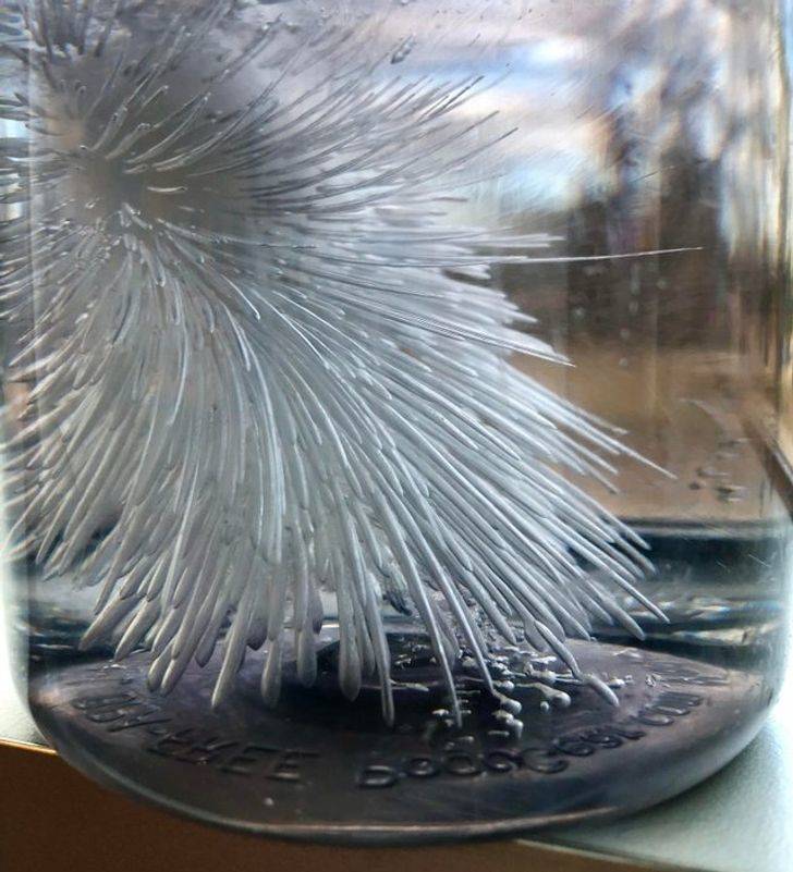 frozen ice in the bottle