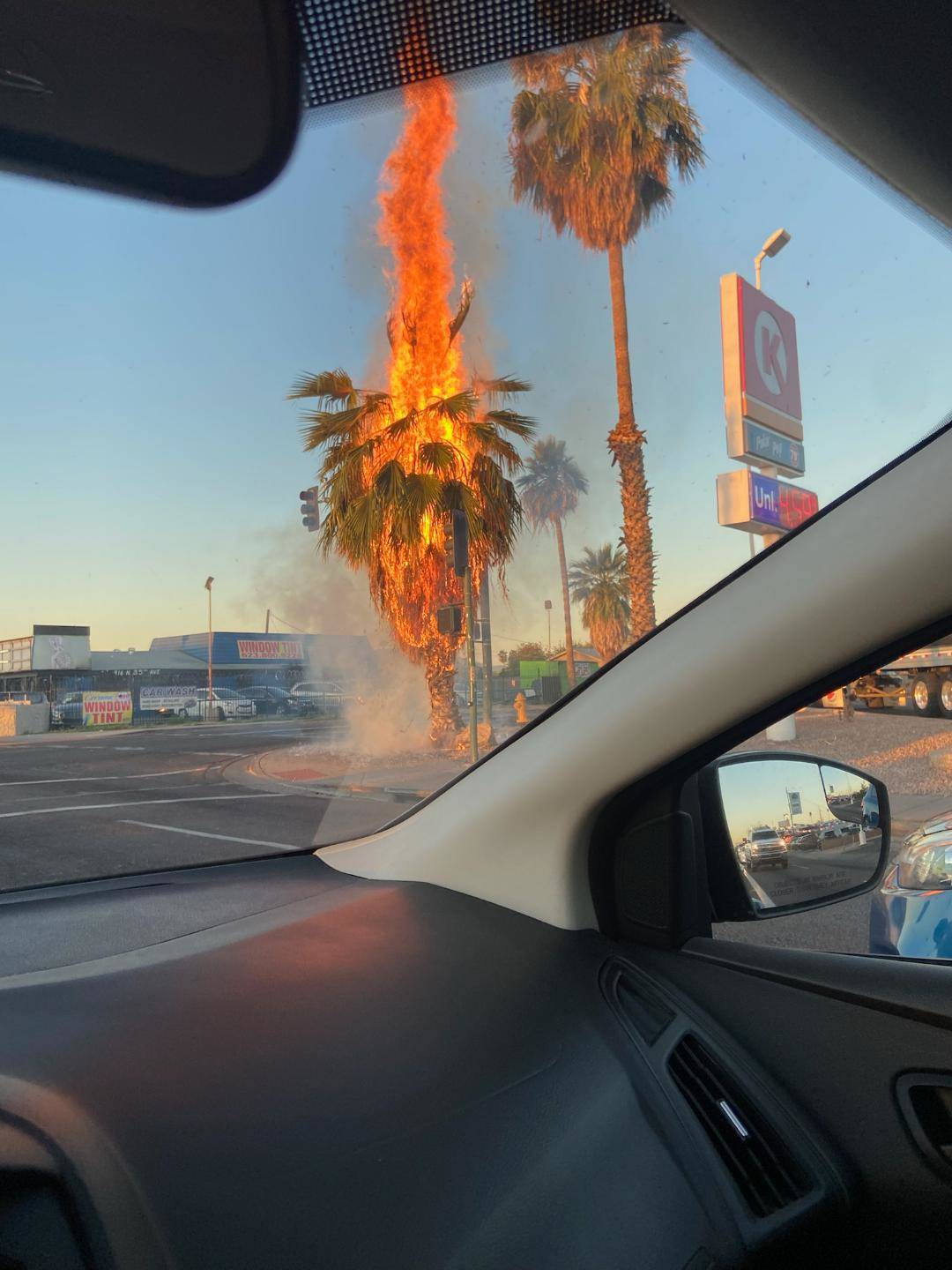 palm tree fire