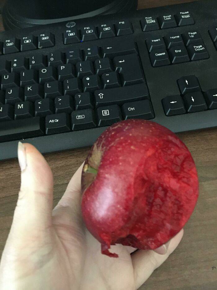 red flesh apple eating