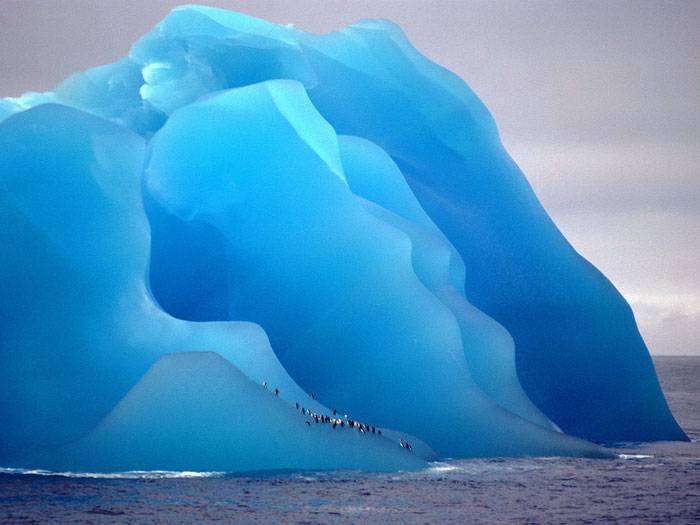 tipped over iceberg people walking on it